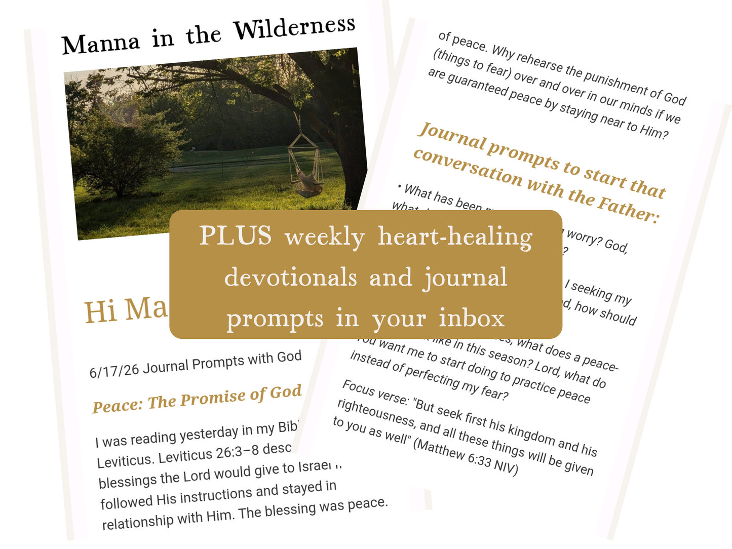The Disentangle Journal