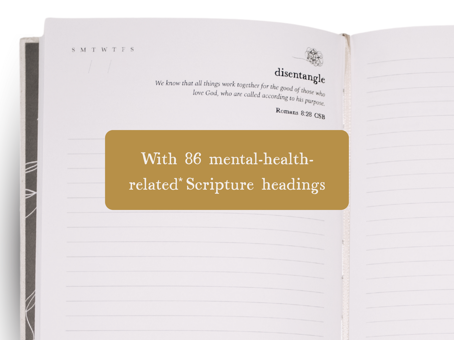 The Disentangle Journal